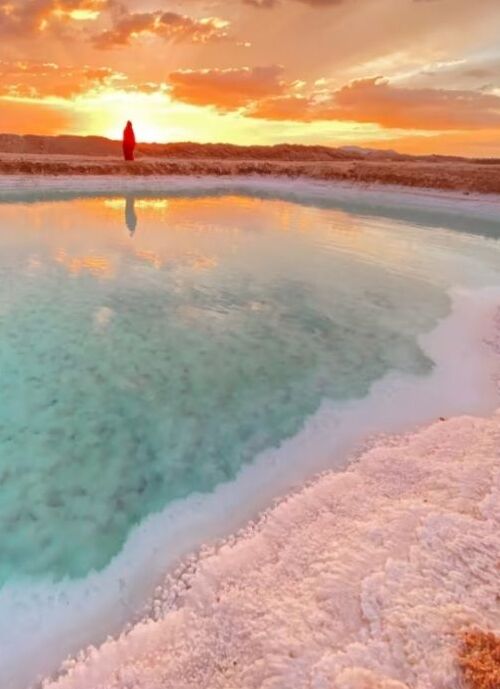 61cbc04418568668a946b2cdd27be246 1