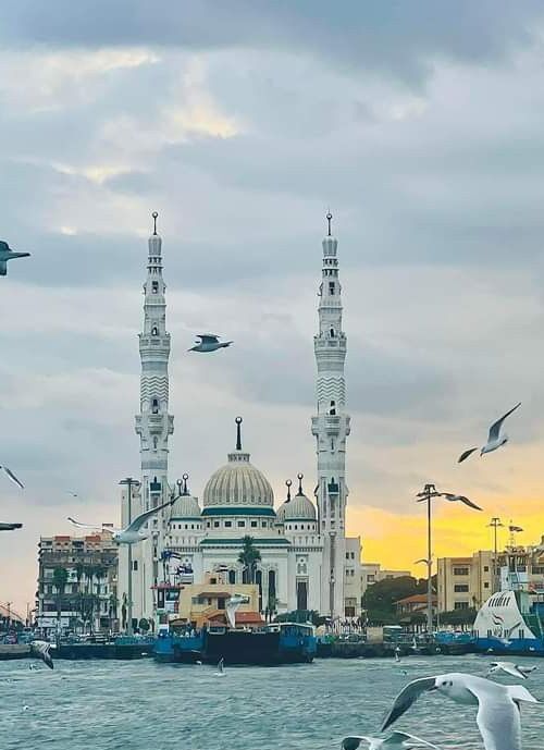 8fbe54072e02a3eddb2d09acacc04049 1