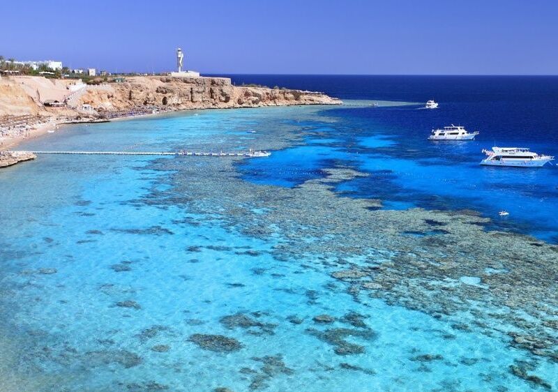 Aea5189b7f8a68ef326ee5d6040902fa 1