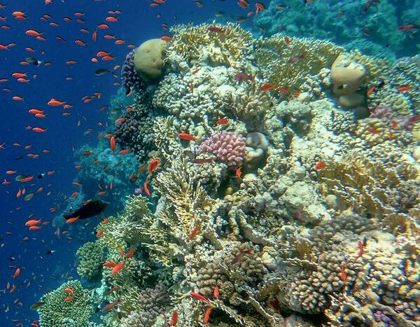 E640f0694e7faac505951f400c63f58d 1